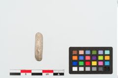 Foto von Beinringperle (NHMW-PRAE-024941)